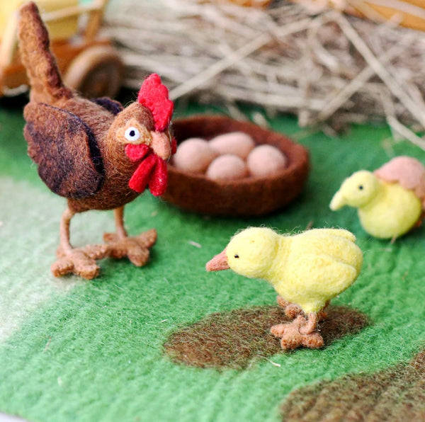 Felt Lifecycle of a Chicken