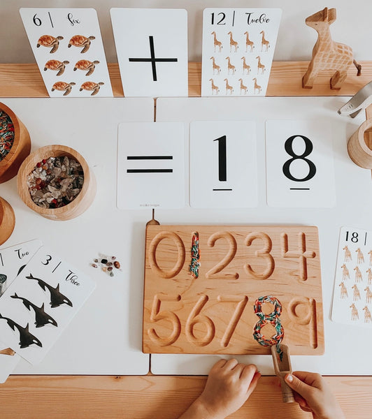 "Nature's 123" Flashcards