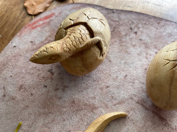 Wooden lizard life cycle set