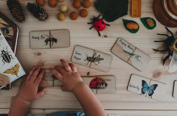 Australian Themed Matching Puzzles - Bugs (18 Pce)