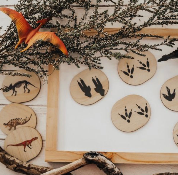 Dinosaur Themed Magnets 28 Pce