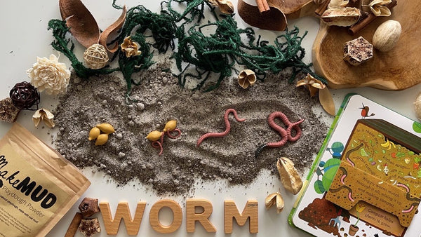 Life cycle of a worm