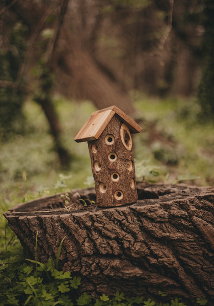 Lady Bug House
