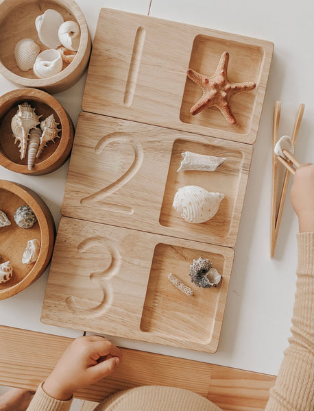 Jumbo Counting Trays