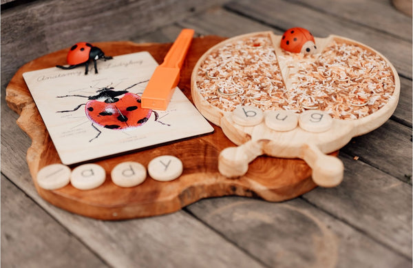 Lady bug sensory board