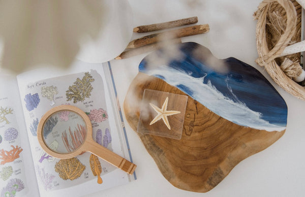 Beach board- Blue