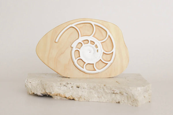 Large Ammonite Fossil in Rock