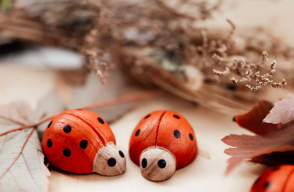 Red Ladybirds/7pc