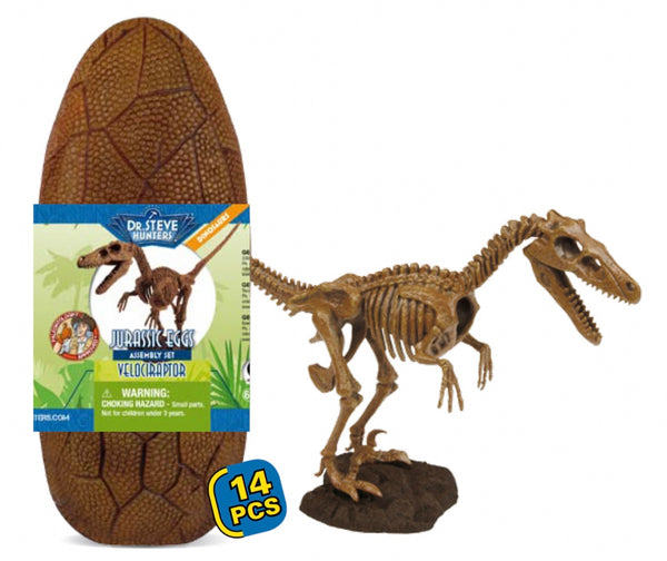 Jurassic egg