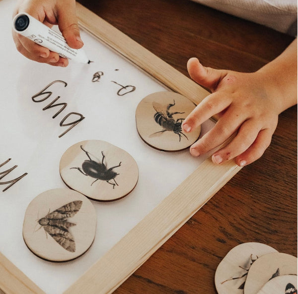 Australian Themed Magnets -Bugs- 28 Pieces