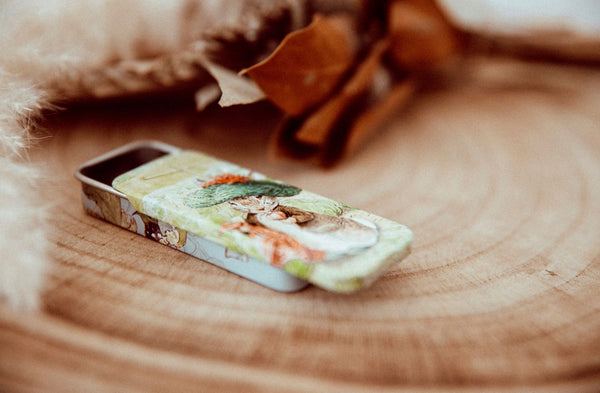 Beatrix potter mini slider tin (sold individually)