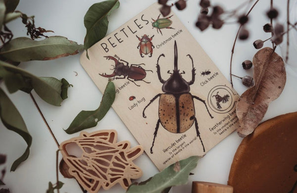 Beetle Tile + Colouring Card