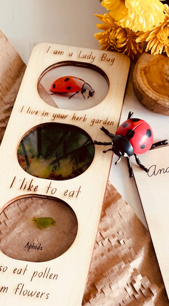 Lady Bug ecosystem board