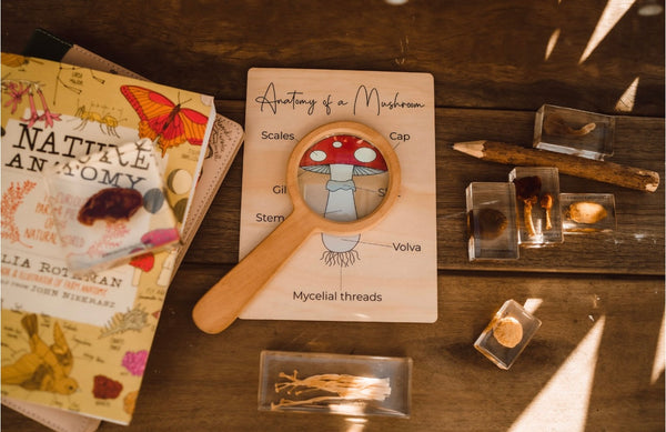 Anatomy of a mushroom board