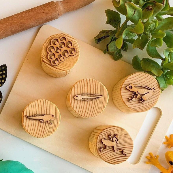 Frog lifecycle stamps