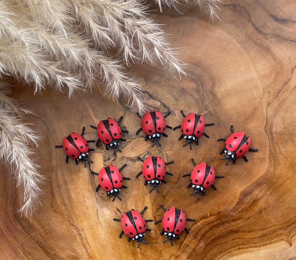 Mini lady bugs