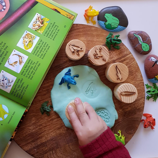 Frog lifecycle stamps