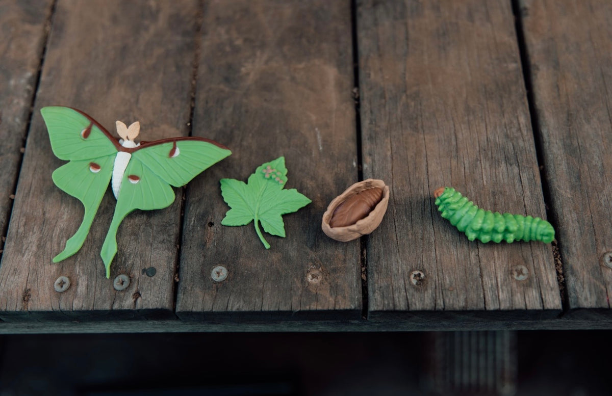 Cycle De Vie Du Papillon Lune Safari Ltd - Figurines éducatives, Pas Pour Enfants Moins De 3 Ans, Pour Collection Ou Apprentissage