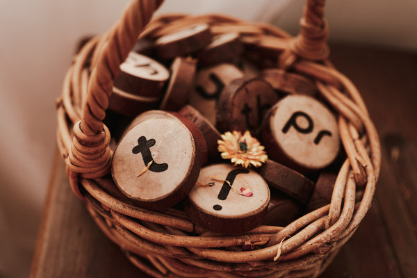 Wooden Phonogram Learning Kit 1