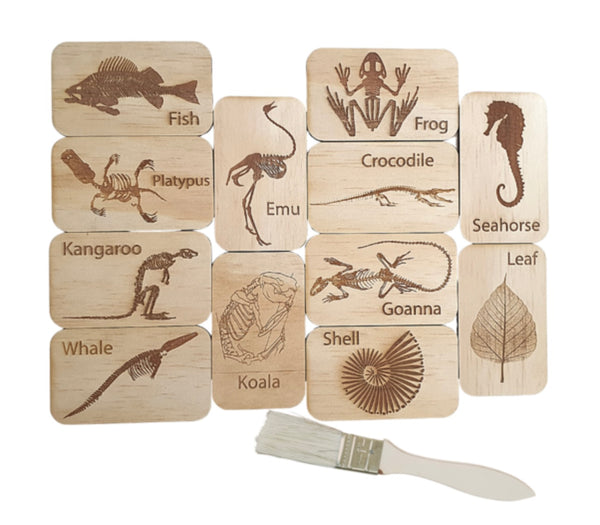 Wooden Fossil Cards