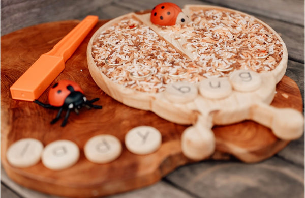 Lady bug sensory board