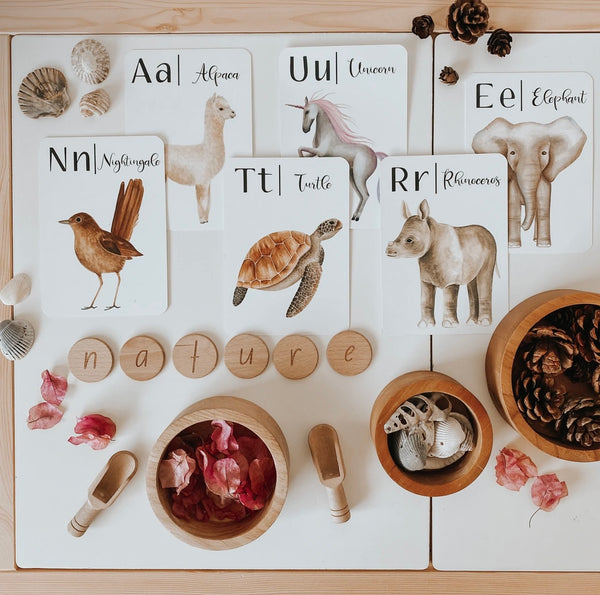 "Nature's ABC" Flashcards
