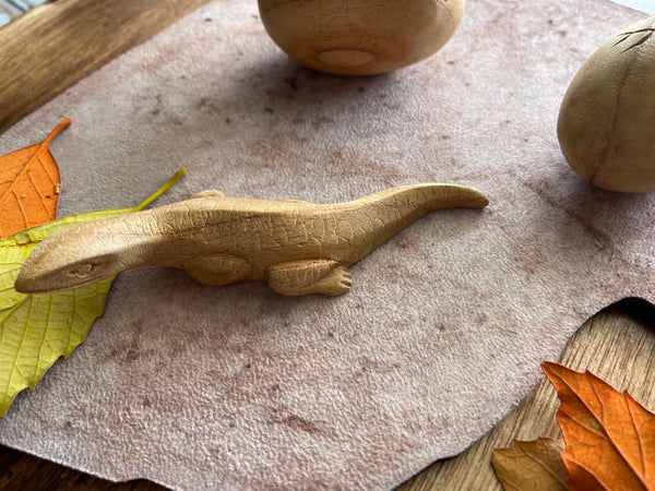 Wooden lizard life cycle set