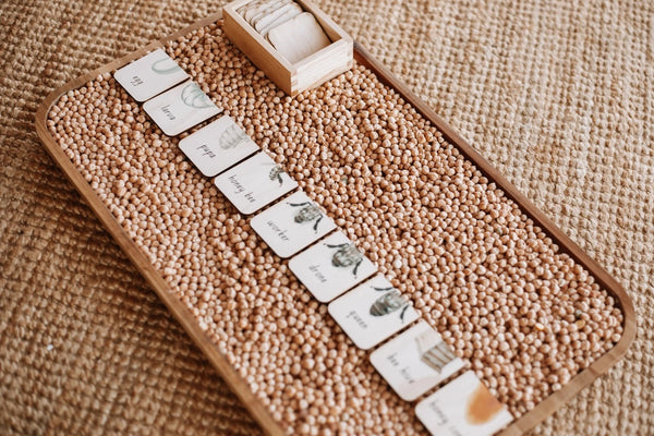 Honey Bee Life Cycle (18 pc)