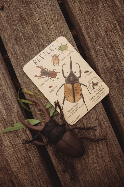 Beetle Tile + Colouring Card