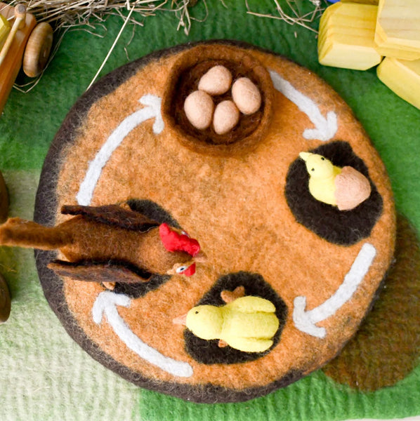 Felt Lifecycle of a Chicken