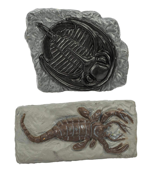 Ancient fossil toob- Safari Ltd
