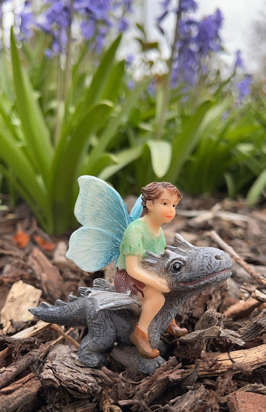 Fairy Draco with Dragon