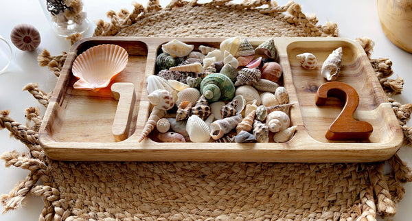 Rectangular divided tray