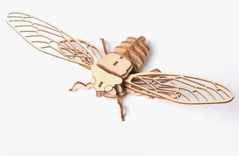 Build a bug- Cicada