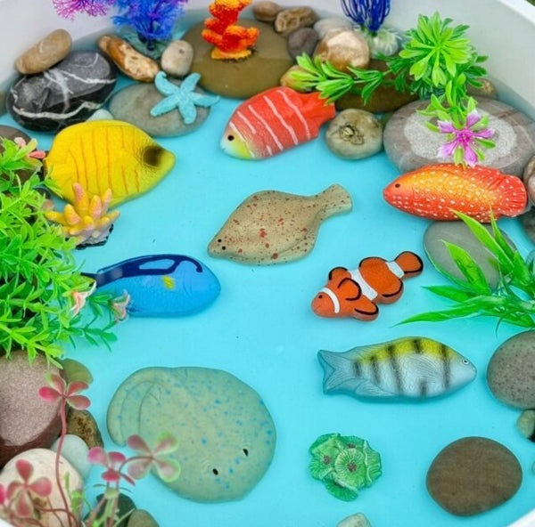Sensory Play Stones - Fish