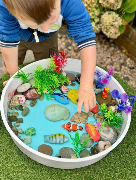 Sensory Play Stones - Fish