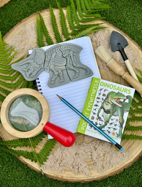 Dig and Discover – Triceratops & Spinosaurus