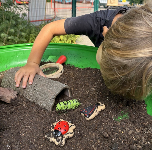 Bugs – Sensory Play Stones
