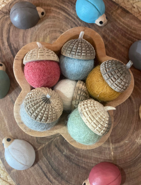Earth Acorns
