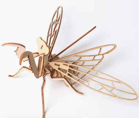 Build a bug- Prey Mantis