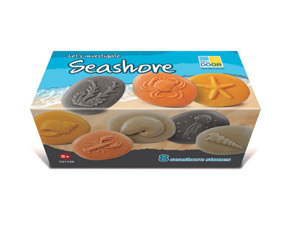 Let’s Investigate – Seashore