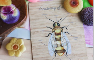 Anatomy of a bee board