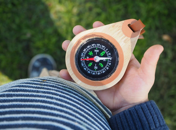 Wooden compass