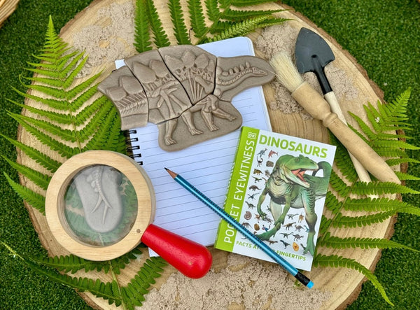 Dig and Discover – Pliosaur & Stegosaurus