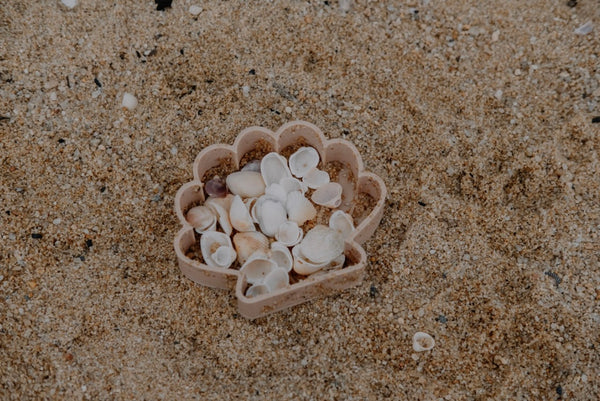 Sea Shell Eco Mould ™