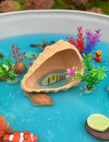 Play Shell