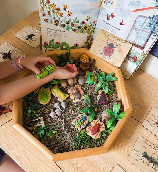 Bugs – Sensory Play Stones