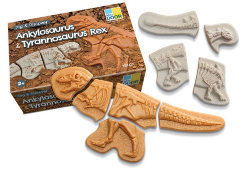 Dig and Discover – Ankylosaurus & Tyrannosaurus rex