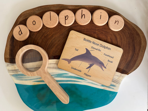 Sea life anatomy cards (set of 7)