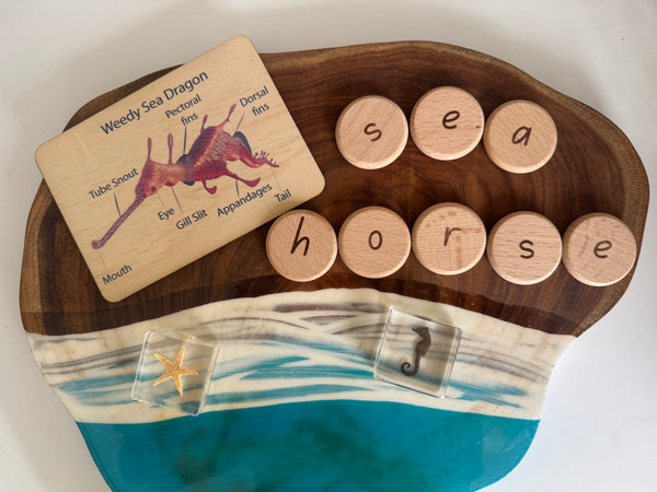 Sea life anatomy cards (set of 7)